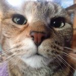 Cheryl__Denton - @cheryl__denton8 - Instagram