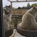 Cheryl Denton - Facebook