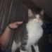 Cheryl Denton - Facebook