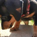 Cheryl DeWitt - @creddewitt - Instagram