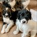 Cheryl DeWitt - Facebook
