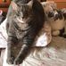 Cheryl Dexter - Facebook