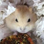 Chez B-d - @cheryl.dickson.14 - Instagram
