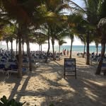 Cheryl Donovan - @cheryldonovan478 - Instagram