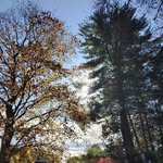 Cheryl Doty - @doty258 - Instagram