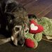 Cheryl Doty - Facebook
