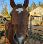 Cheryl Dow - Facebook
