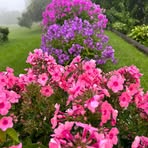 Cheryl Dow - Facebook