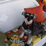 Cheryl Dowell - @cheryldowell - Instagram