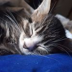 Cheryl Dunagan - @dunagancheryl - Instagram