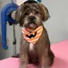 cheryldunkley1 - @cheryldunkley1 - TikTok