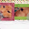 Cheryldunn4 - @cheryldunn4 - TikTok