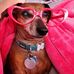 Cheryl Dustin - Facebook