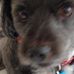 Cheryl Eldridge - Facebook