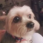 Cheryl Everson - @eversoncheryl - Instagram