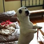 Cheryl Mac Neil Evers - @macneilevers - Instagram