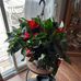 Cheryl Fehr - Facebook
