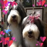 Cheryl Fehrer - @cherylfehrer - Instagram