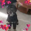 cherylfellows325 - @cherylfellows325 - TikTok