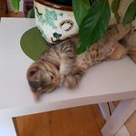 Cheryl Fielding - @cherylfielding22 - Instagram