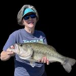Cheryl Wyatt Fielding - @howdy523 - Instagram