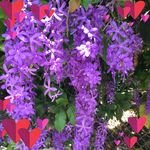 Cheryl Fields - @fields_6504 - Instagram