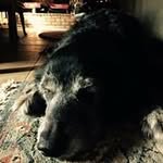 Cheryl Brooks Finley - @cherylbrooksfinley - Instagram