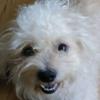 cherylfinney440 - @cherylfinney440 - TikTok