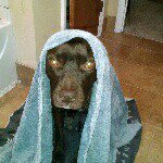 Cheryl Flores - @cheryl.flores.50 - Instagram