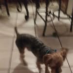 Cheryl Floyd - @cheryl.floyd.1232 - Instagram