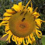 Cheryl Floyd - @cherylfloyd101 - Instagram