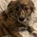 Cheryl Franceschini - Facebook