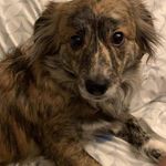 Cheryl Franceschini - @cherylfranceschini - Instagram