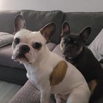 Cheryl Gale - @cheryl.cadman.3 - Instagram