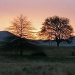Cheryl Galloway - @cheryl_j_galloway - Instagram