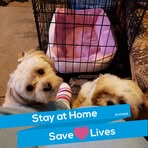 Cheryl Gawronski - Facebook