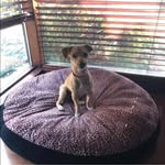 Cheryl Gawryluk - @cherylgawryluk - Instagram