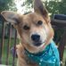Cheryl Popp Germain - Facebook