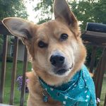 Cheryl Popp Germain - @cheryl_m_germain - Instagram