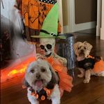 Cheryl Gibbs - @lollicheryl - Instagram