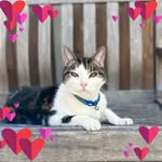 Cheryl Gibbs - @cheryl.gibbs.564 - Instagram