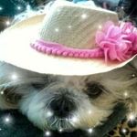Cheryl Gibbs Murphy - @cherylgibbsmurphy - Instagram