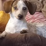 Cheryl Goff - @sharygoff - Instagram
