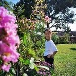 Cheryl Goh - @jx12_12 - Instagram