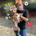 Cheryl Goh 汶司 - @gohcheryl15 - Instagram