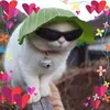 Cheryl Gold - @cherylgold0 - TikTok