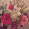 Cheryl Gonzalez - @cheryl.gonzalez26 - TikTok