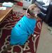 Cheryl Graf - Facebook