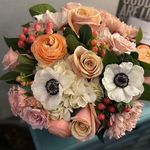 Cheryl Gregory - @cheryl_gregory__ - Instagram