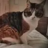 Cheryl Gregson - @cheryl.gregson - TikTok